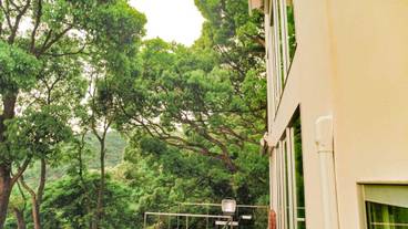 テラス / パティオ / 21