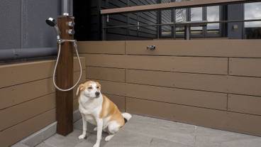 テラス / パティオ / 36