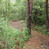 コテージ & キャンプ PICA富士西湖（山梨県 コテージ・ロッジ・一棟貸） / 2