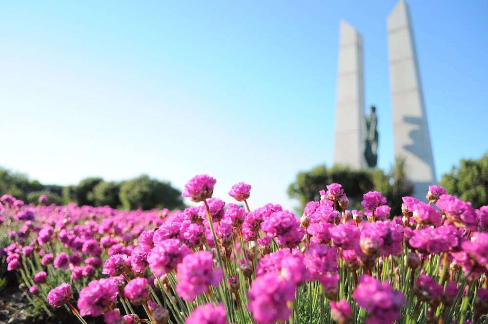 施設からの眺望