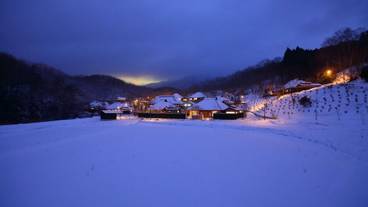 施設の敷地 / 12