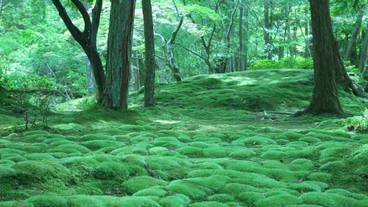 施設の敷地 / 10