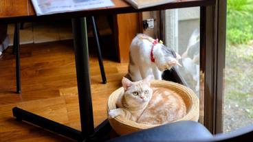 施設内の設備 / 3