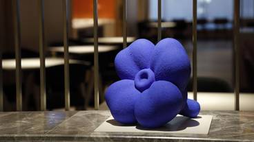 内装の詳細 / 32