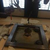 御宿 飛水（ひすい）（岐阜県 旅館） / 3