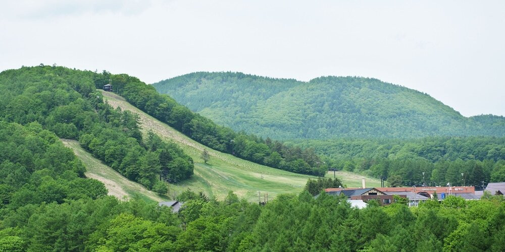 部屋からの景観