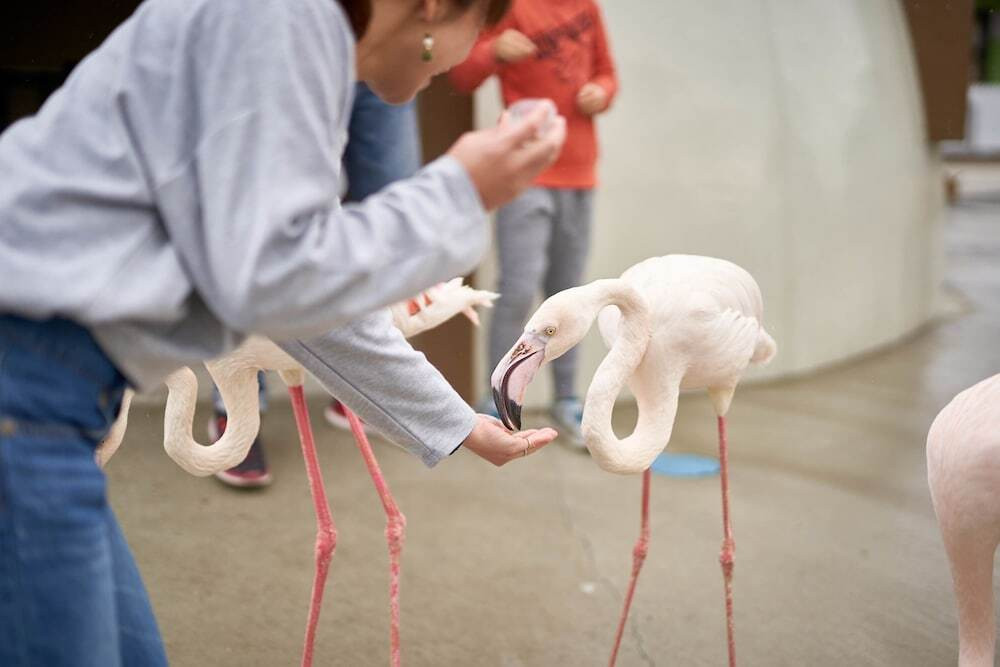 子供用の遊び場 - 屋外