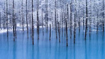 ランド ビュー / 25