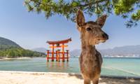 女子ののんびり一人旅in広島。旅のおともにしたいおすすめホテル7選