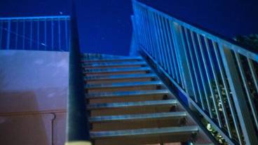 施設からの眺望 / 8