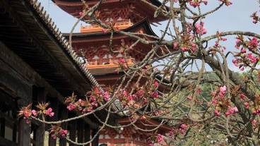 観光スポット / 6