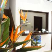 ロッジ オーシャン（八丈島）（東京都 民宿） / 2