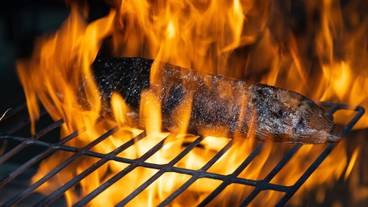 食事・飲み物 / 7