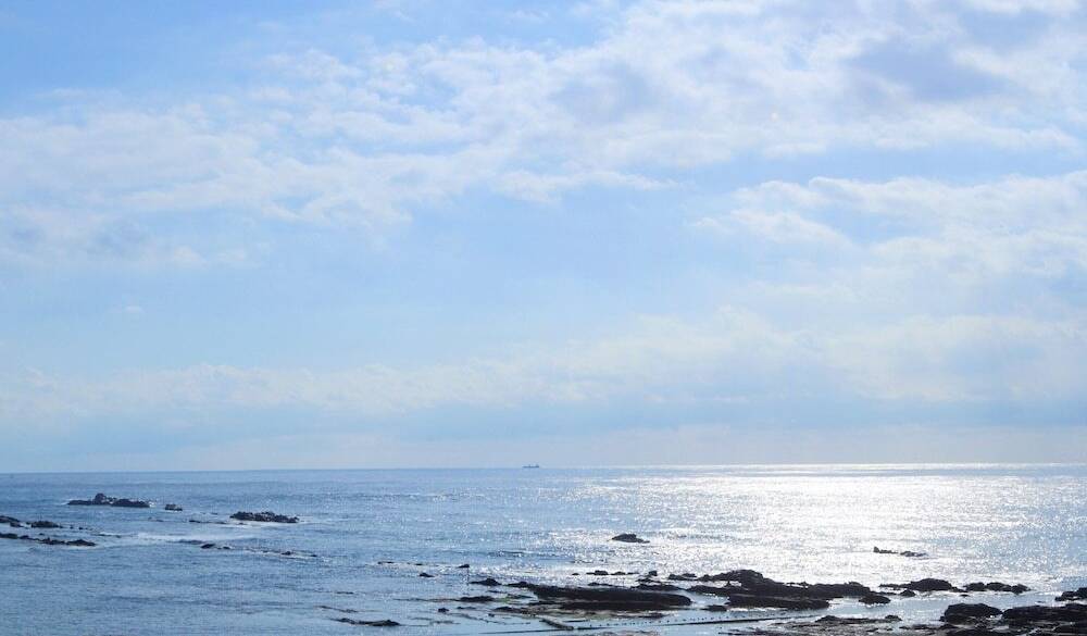 キラキラ輝く海辺を
のんびりお散歩 / 1