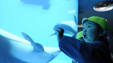 観光スポット / 6