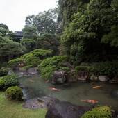 湯田温泉 松田屋ホテル（山口県 旅館） / 4