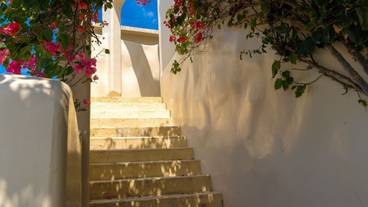 施設の敷地 / 10