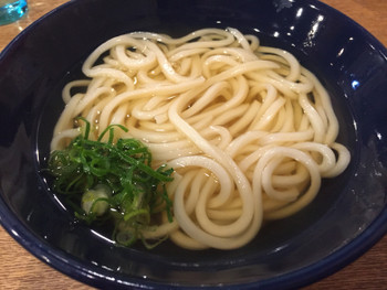 「慎」料理 573946 かけうどん