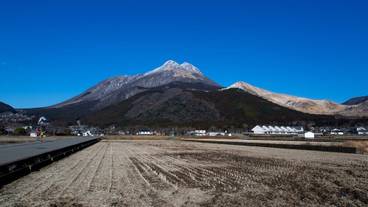 ランド ビュー / 21