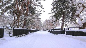 施設の敷地 / 16