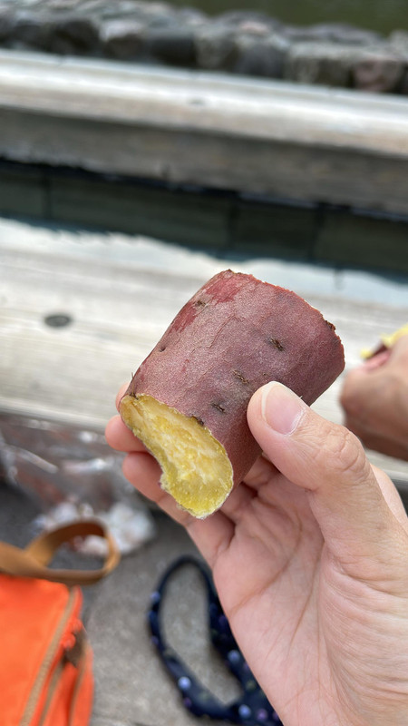 manpuku_gram24さんの写真 / 2