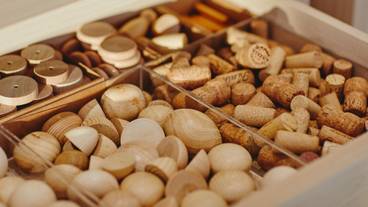 アトリエ マテリアル 木材など / 9