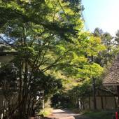 パセオリゾートクラブ河口湖（旧：パセオ河口湖ラケットクラブ）（山梨県 ペンション） / 4