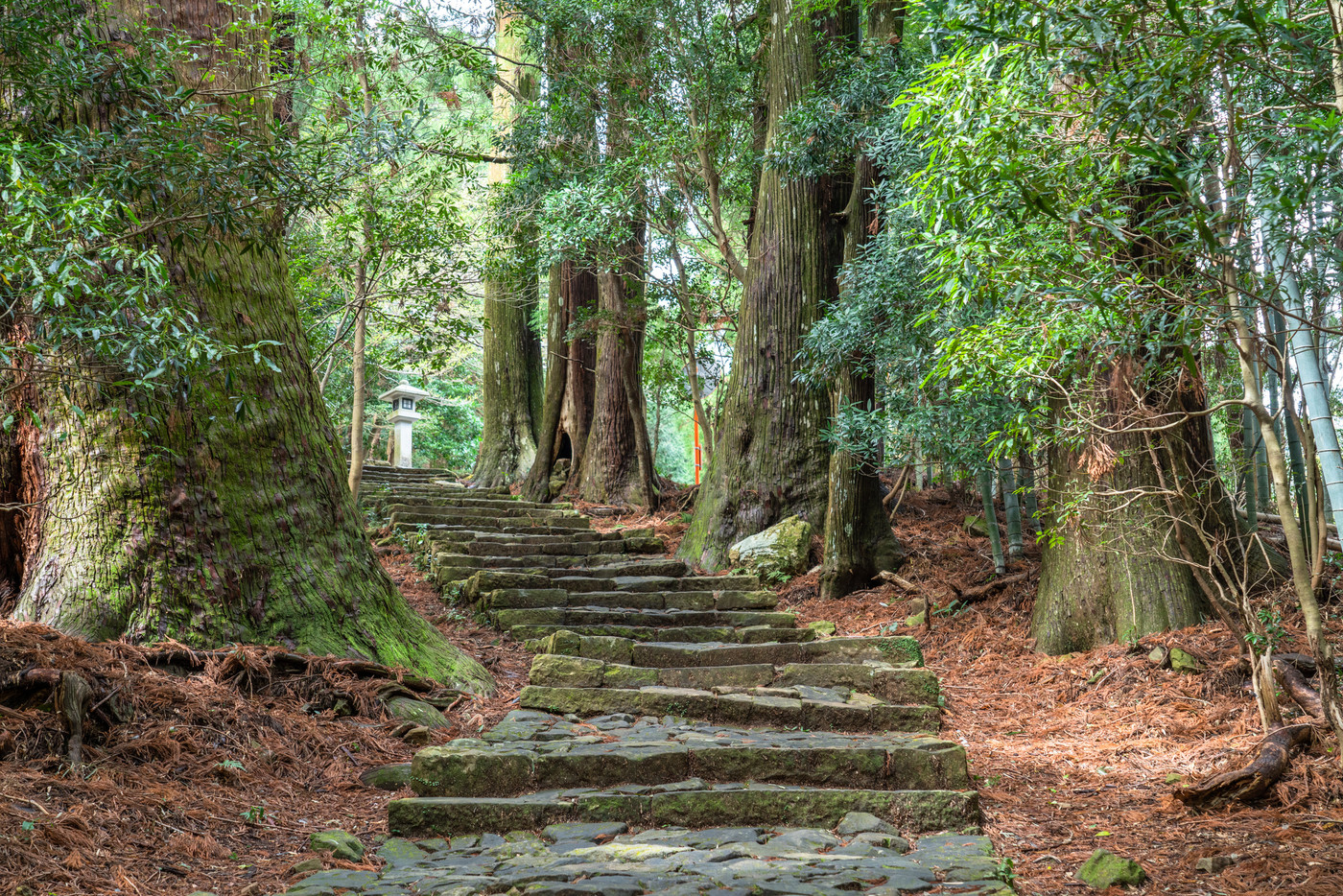 《和歌山県》熊野古道・大門坂