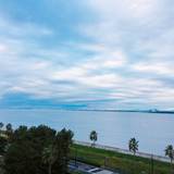 目覚めの朝さんぽ
海沿いを愛犬と歩く / 1