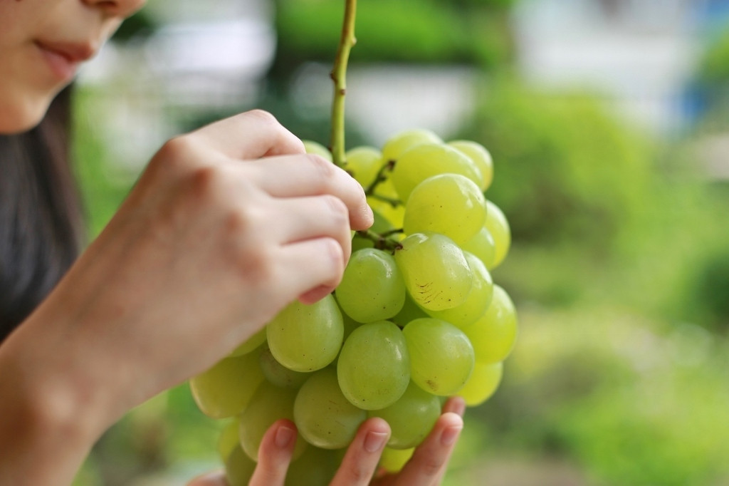 食べるのは、岡山のフレッシュフルーツを使ったパフェたち♩3694083