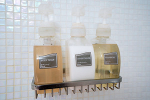 シャンプー類はPOLAのもの