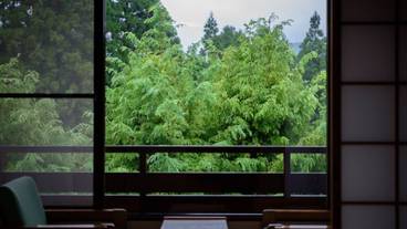 部屋からの景観 / 26