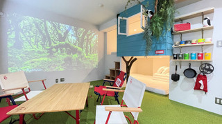 Tree house room, Non Smoking