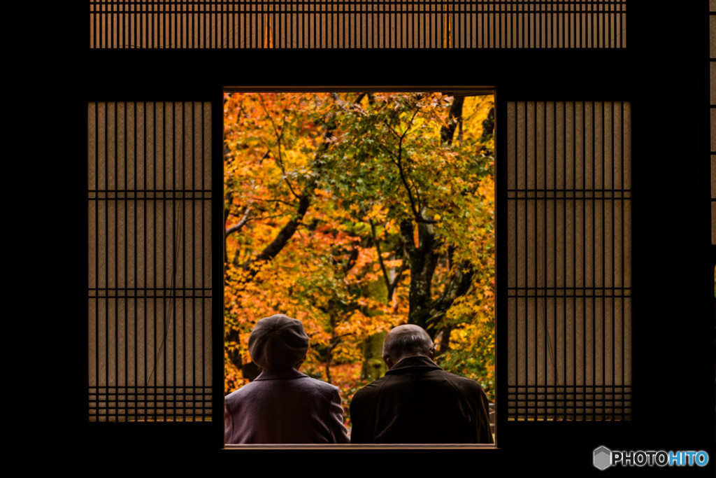 サプライズもOK！ご両親に温泉旅行をプレゼント♪3846259