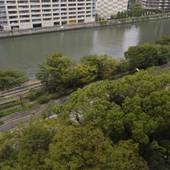 ホテルNCB（大阪府 ビジネスホテル） / 5