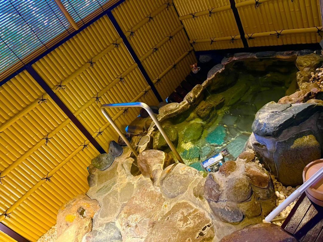 kkkkk1206kさんの写真 / 2