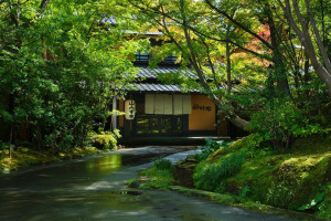 昔ながらの和の雰囲気が漂う宿