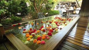 施設の敷地 / 17