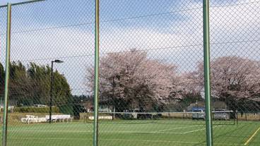 テニスコート / 8