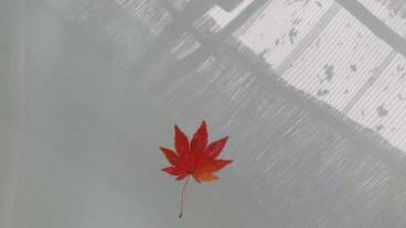 内装の詳細 / 17