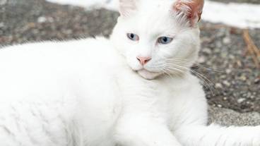 施設の敷地 / 22