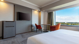 Superior Deluxe Queen