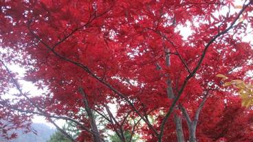 施設からの眺望 / 14