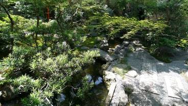 ガーデン ビュー / 16