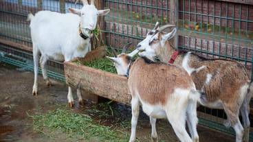 施設内の設備 / 25