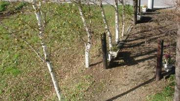 施設の敷地 / 21