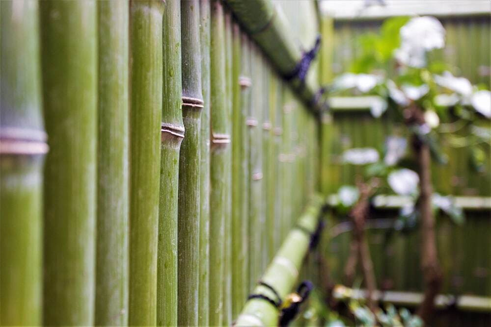 施設からの眺望