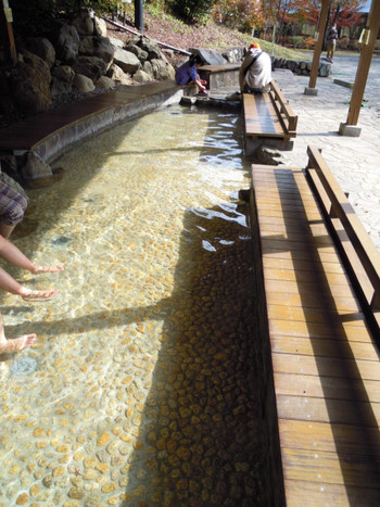 大浴場で森林浴気分♪東京都内で森に包まれる4240899