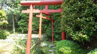 施設の敷地 / 25