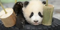和歌山県白浜おすすめ観光スポット15選～名勝・温泉・グルメの街～
